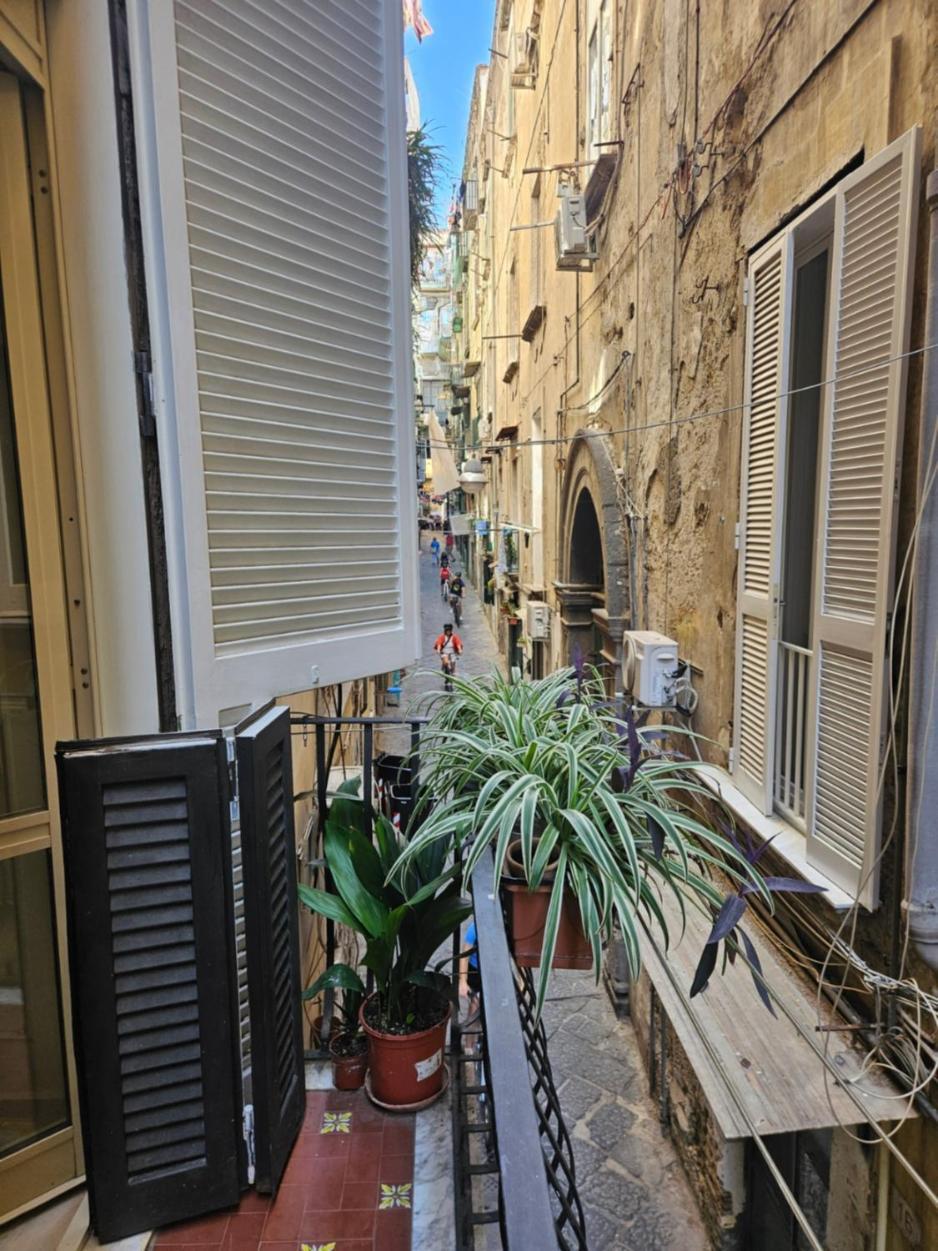 Hébergement de vacances Niloufar *